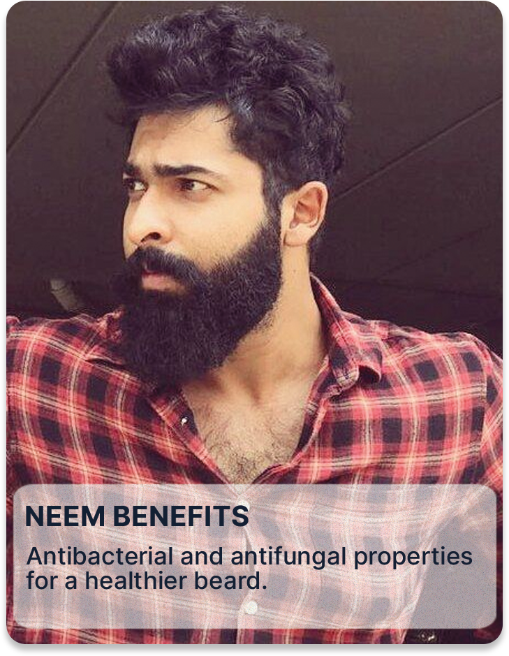 ALL MAN, Beard Shaper Comb, Reasons to buy, Neem Benefits