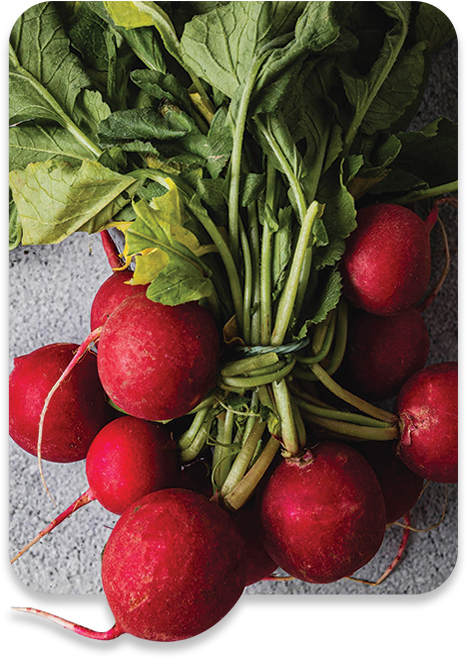 ALL MAN, Ingredients, Betaine