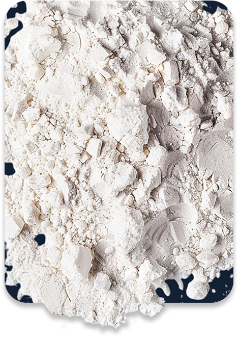 ALL MAN, Ingredients, Ectoin