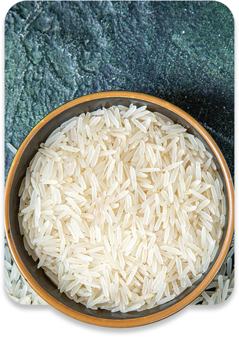 ALL MAN, Ingredients, Hydrolyzed Rice Protein