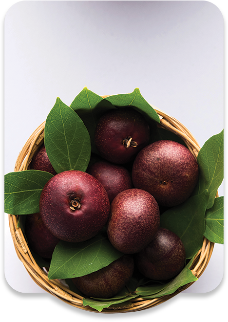 ALL MAN, Ingredients, Kokum butter