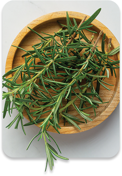 ALL MAN, Ingredients, Rosemary Oil